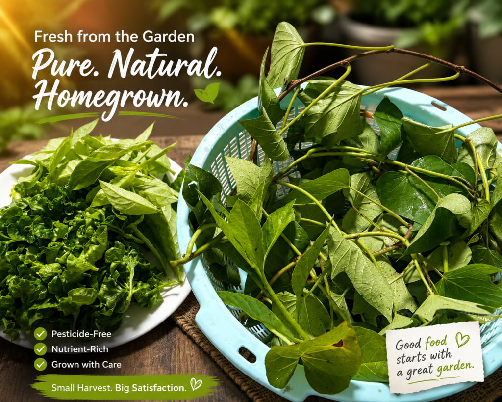 Freshly harvested homegrown leafy vegetables in a blue colander from a backyard garden.